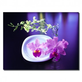 Tranh vải trang trí Hoa Lan Dạ Tiệc